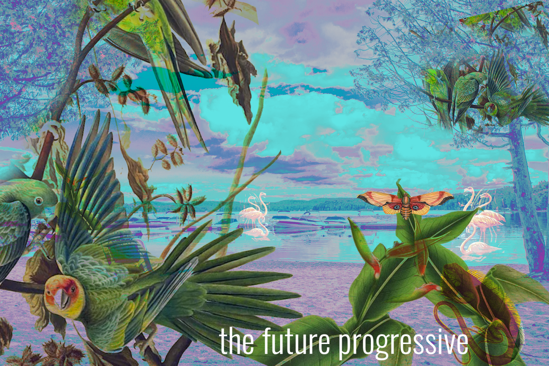 A dream like picture of a Muskoka beach reimagined as a tropical paradise, including flamingos.  We see voracious parrots, iguanas and an apocalyptic sunset.
